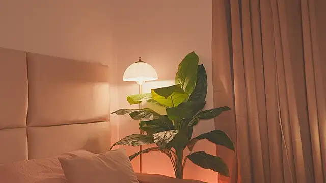 SweetHanson online show from 03.24.26