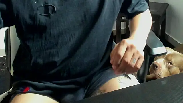 stebankechima online show from 10.15.25