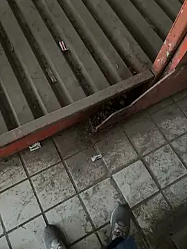 A-mira online show from 03.21.25