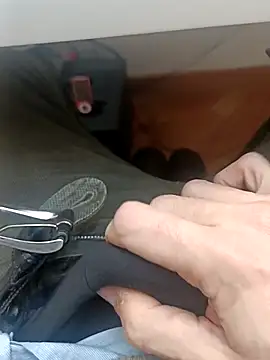 the lion 69 online show from 02.05.26