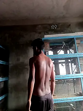 NICK IN online show from 03.01.26