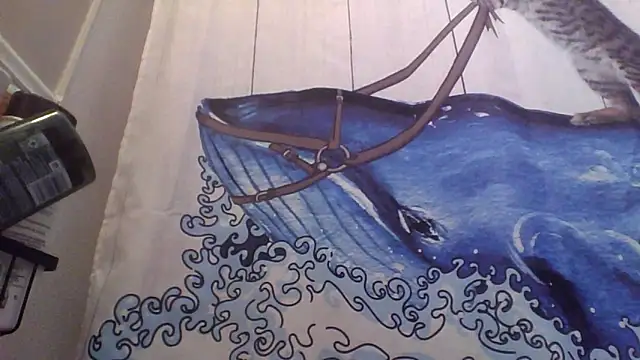 Snapshot of clitstitsandbongrips chatting on 09.16.25 clitstitsandbongrips online show from 09.16.25