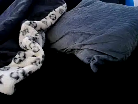 Snapshot of Niquitasparkles chatting on 12.23.24 Niquitasparkles online show from 12.23.24