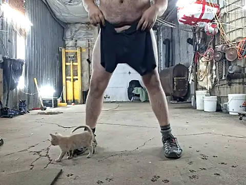 Frankdick01 online show from 11.08.25