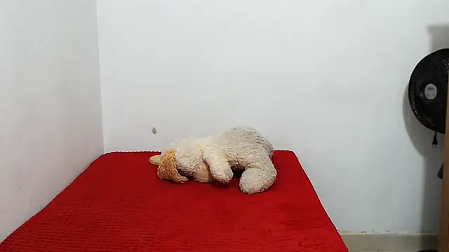 ariellth online show from 05.12.26