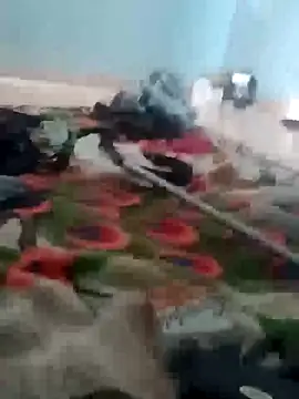 Snapshot of raiu1257 chatting on 02.21.25 raiu1257 online show from 02.21.25