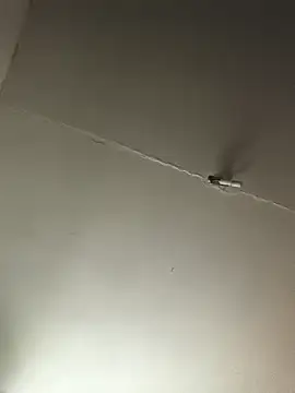 Snapshot of Ozomitro chatting on 10.25.25 Ozomitro online show from 10.25.25