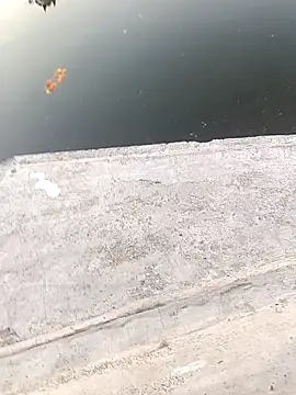 1010SumiT online show from 03.22.25