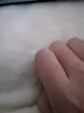 smailcat online show from 12.07.24