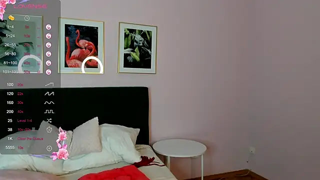 Snapshot of LikaKlint chatting on 01.14.25 LikaKlint online show from 01.14.25