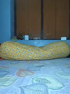 Snapshot of IndianRima chatting on 11.25.25 IndianRima online show from 11.25.25