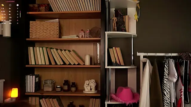 Snapshot of DarylBarks chatting on 11.04.25 DarylBarks online show from 11.04.25