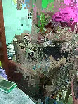 ShelfyOfferer online show from 05.29.26