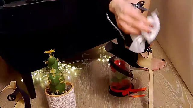 Snapshot of FeetVibe chatting on 02.19.25 FeetVibe online show from 02.19.25