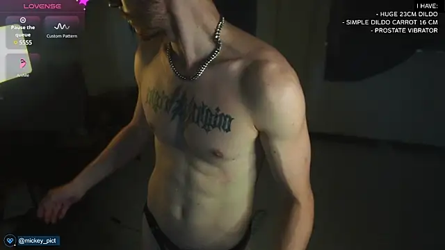 Snapshot of mickeypict chatting on 12.12.24 mickeypict online show from 12.12.24