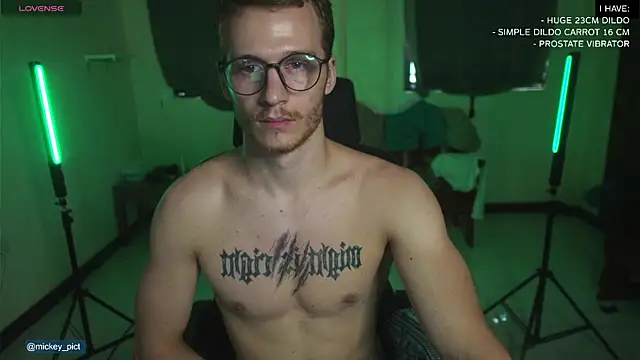 Snapshot of mickeypict chatting on 12.22.24 mickeypict online show from 12.22.24