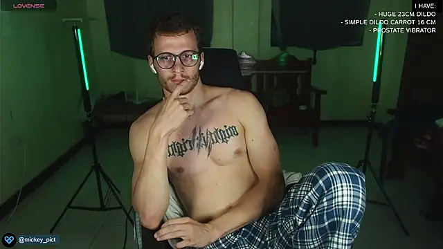 Snapshot of mickeypict chatting on 12.25.24 mickeypict online show from 12.25.24