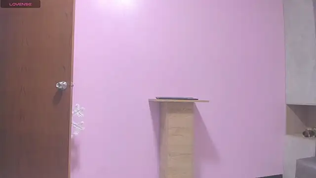 Snapshot of SophieHarris_ chatting on 01.31.25 SophieHarris online show from 01.31.25