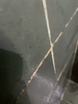 gzn01 online show from 10.28.25