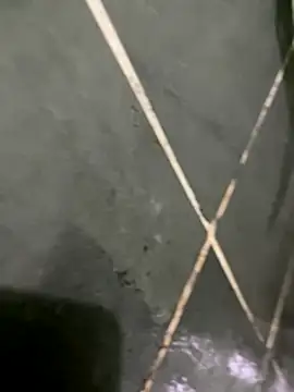 gzn01 online show from 10.30.25