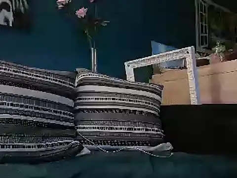 Snapshot of mecanoExhib78 chatting on 02.24.25 mecanoExhib78 online show from 02.24.25