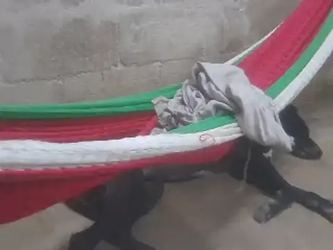 Snapshot of tripexnte chatting on 02.16.25 tripexnte online show from 02.16.25