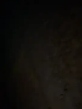 Snapshot of tripexnte chatting on 02.20.25 tripexnte online show from 02.20.25