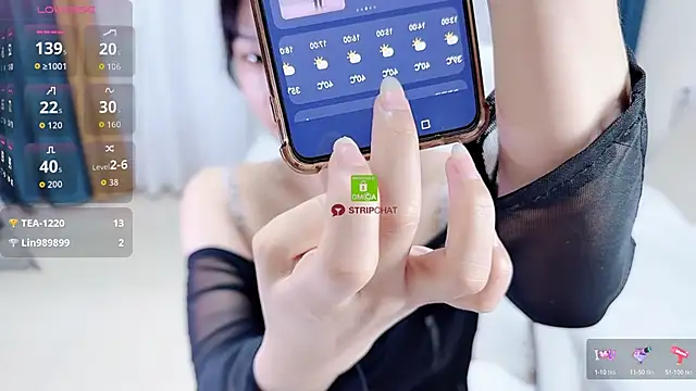 808dass online show from 04.05.26