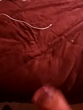 pedritolobito online show from 12.17.24