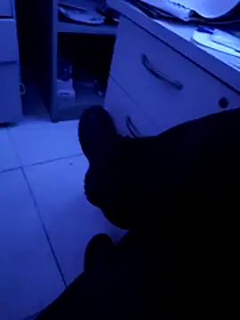 Snapshot of pedritolobito chatting on 04.11.26 pedritolobito online show from 04.11.26