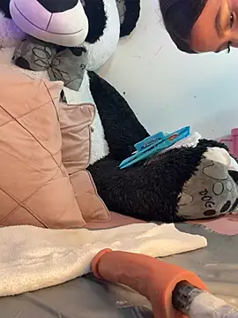 IamSteph13 online show from 03.02.26