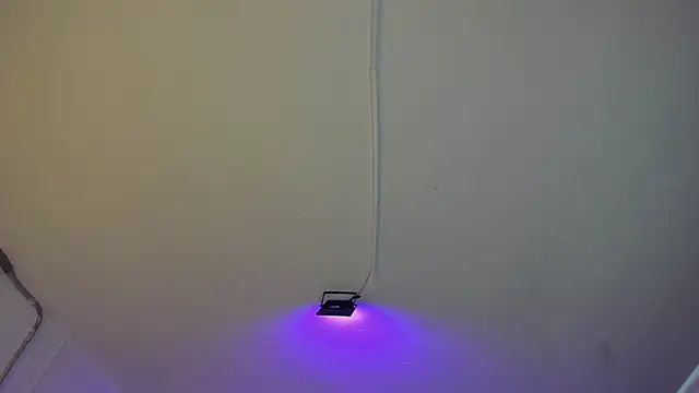 Amy Kiitty  online show from 02.27.26