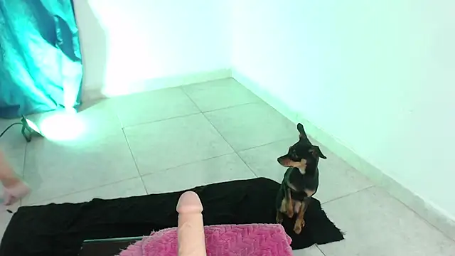 April sexycurvi online show from 11.21.25