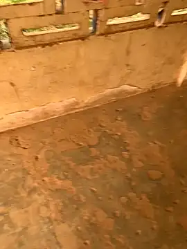 Black mamba madingo online show from 12.23.24