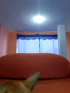 Snapshot of thoom-d chatting on 02.25.25 thoom-d online show from 02.25.25