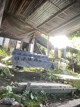 Jestebanano online show from 04.02.26