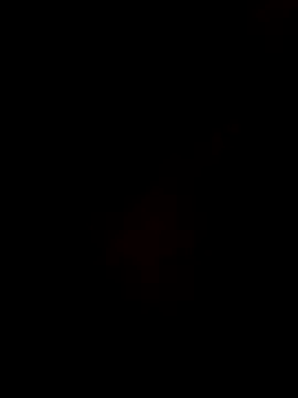 Gujrat player online show from 12.28.24