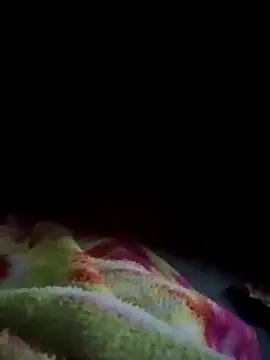 Gujrat player online show from 01.22.25