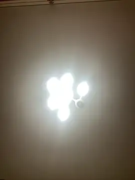 Janet Welder online show from 12.02.24