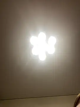 Janet Welder online show from 12.16.24