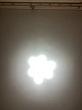 Janet Welder online show from 12.22.24