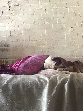 Snapshot of Sweet___Dick chatting on 01.30.25 Sweet Dick online show from 01.30.25