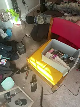 torilux online show from 01.23.25