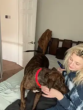 torilux online show from 01.31.25