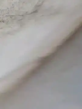 MrNick74 online show from 12.22.25