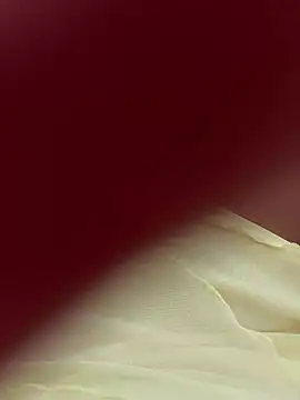 lariic online show from 03.31.26