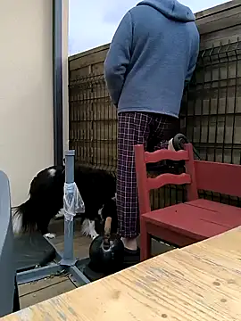 Snapshot of bogland33 chatting on 03.13.25 bogland33 online show from 03.13.25