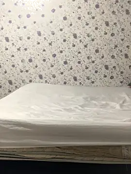 ahross online show from 10.04.25