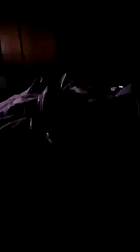 Snapshot of Imthegoattt chatting on 12.12.24 Imthegoattt online show from 12.12.24