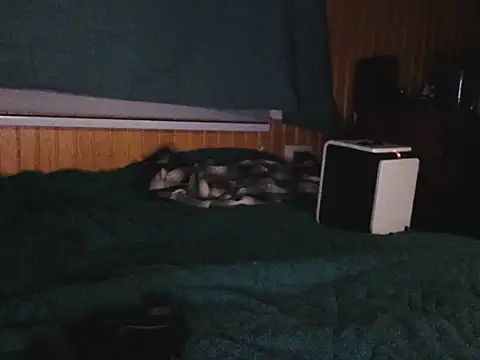 Snapshot of Thenicecook chatting on 10.23.25 Thenicecook online show from 10.23.25